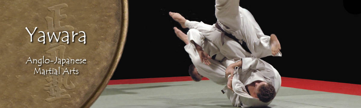 A Ju-Jutsu throw at a competition
